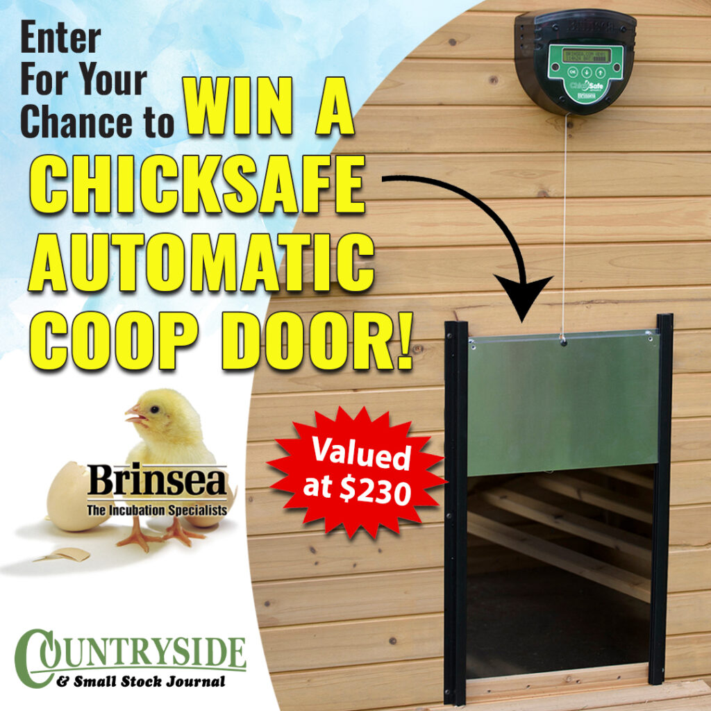 Enter for your chance to win!